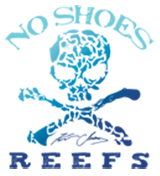 NO SHOES REEF LIP BALM SPF 50 - .15z